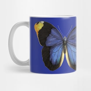 Blue Butterfly Mug